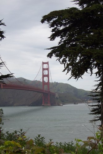 San Francisco Golden Gate Bridge (palo-alto_100_8002.jpg) wird geladen. Eindrucksvolle Fotos von der Westküste Amerikas erwarten Sie.